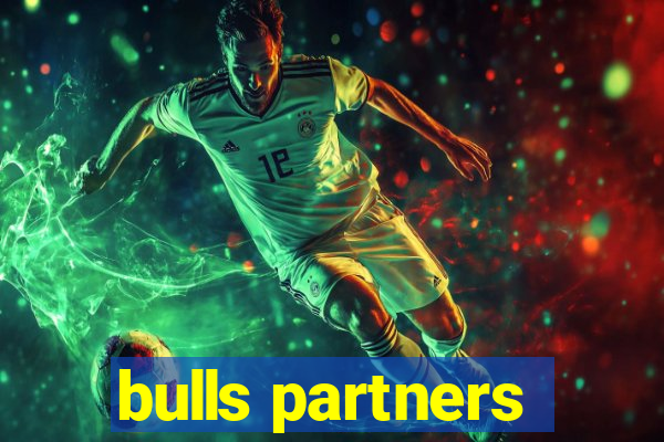 bulls partners